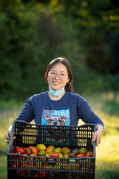 Farmacy garden volunteer with tomato harvest